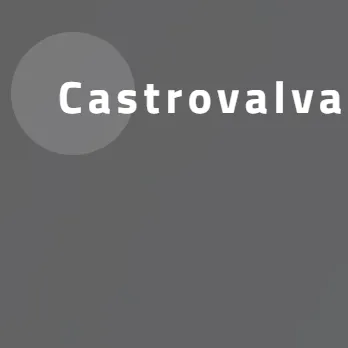 Castrovalvalimited — отзывы и рейтинг