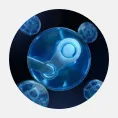 Steam Market — отзывы и рейтинг